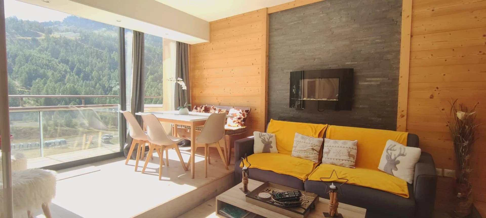 SUPERBE APPARTEMENT RENOVE AVEC VUE SUR PISTES