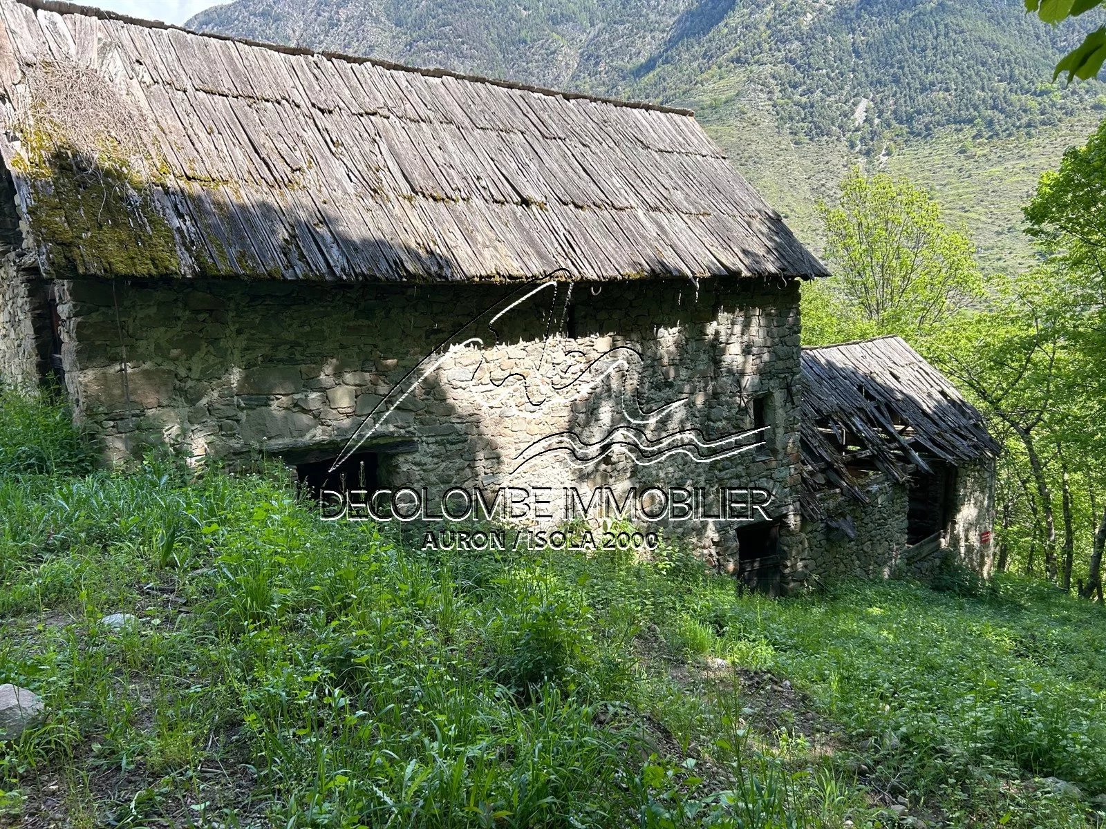 GRANGES  AVEC GRAND TERRAIN vue panoramique